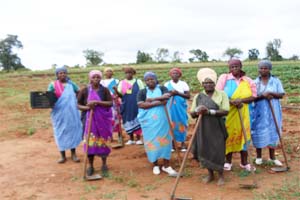 Community gardeners in the Valoyi area